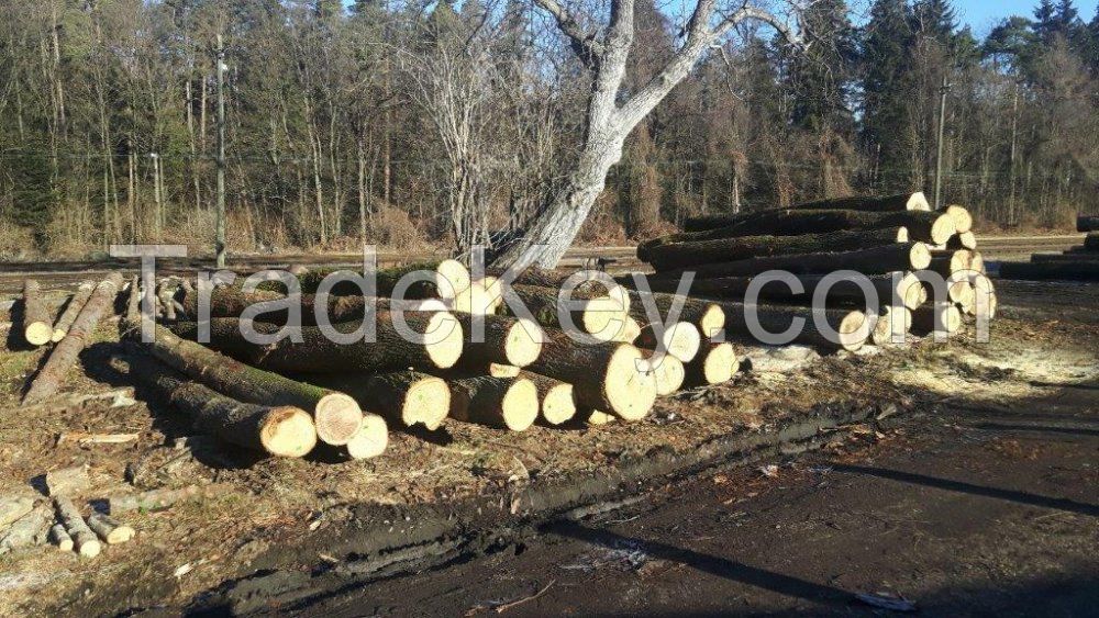 Logs, Firewood