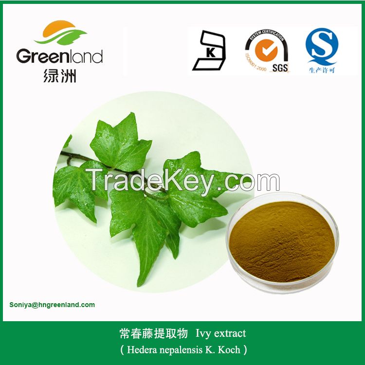 Ivy extract powder with 10% Hederacoside C