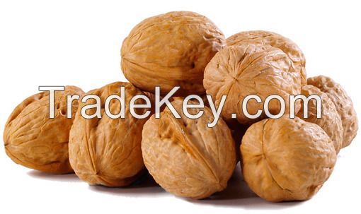 walnuts nuts