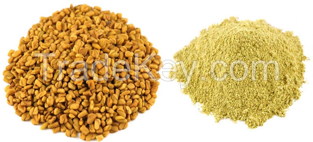 Organic Fenugreek