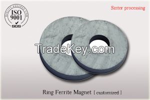 Ferrite /ceramic magnet