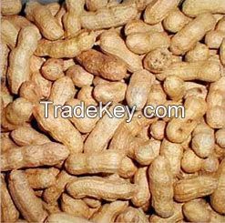 Cashew nuts, Peanuts
