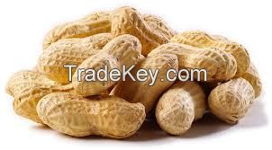 Bulk Grade A Peanuts