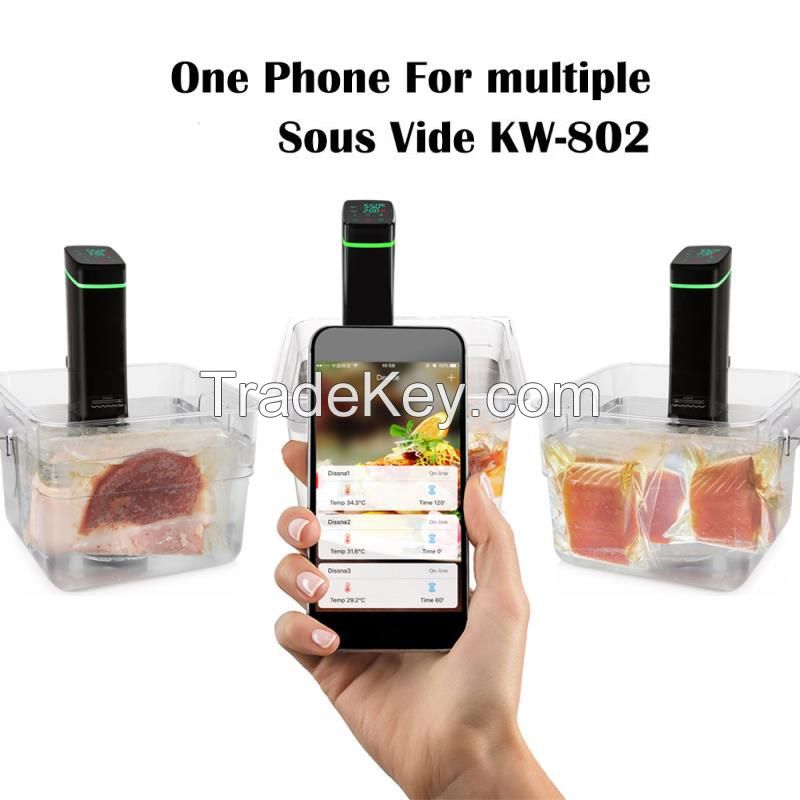 sous vide cooker