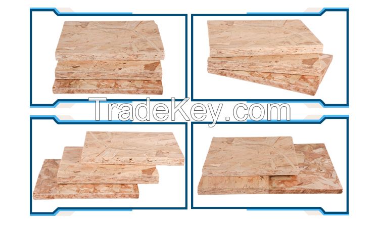 18mm Cheap Price 1220*2440mm OSB