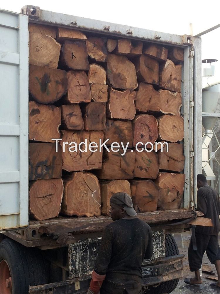 Large Wood logs like tali, Wengue, Pine and Zingana, teak, pine, radiata, wood chips, pellets, planks, firewood, mangrove