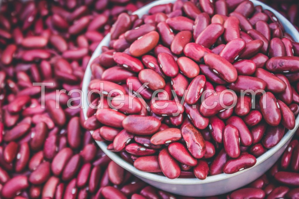 Red Long Kidney Beans