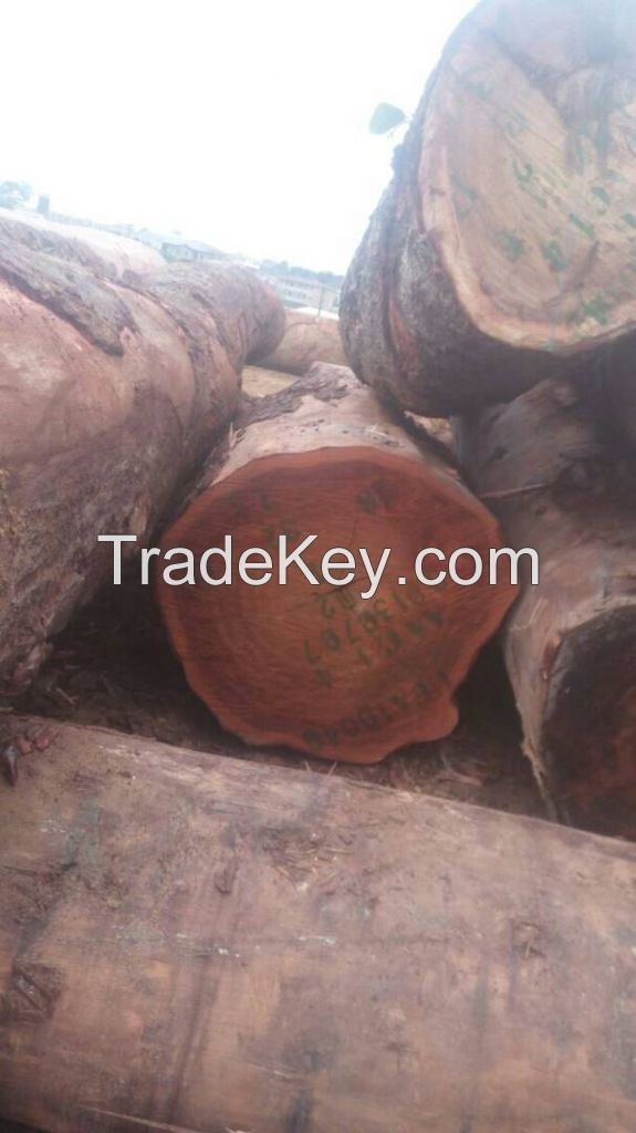 Large Wood logs like tali, Wengue, Pine and Zingana, teak, pine, radiata, wood chips, pellets, planks, firewood, mangrove