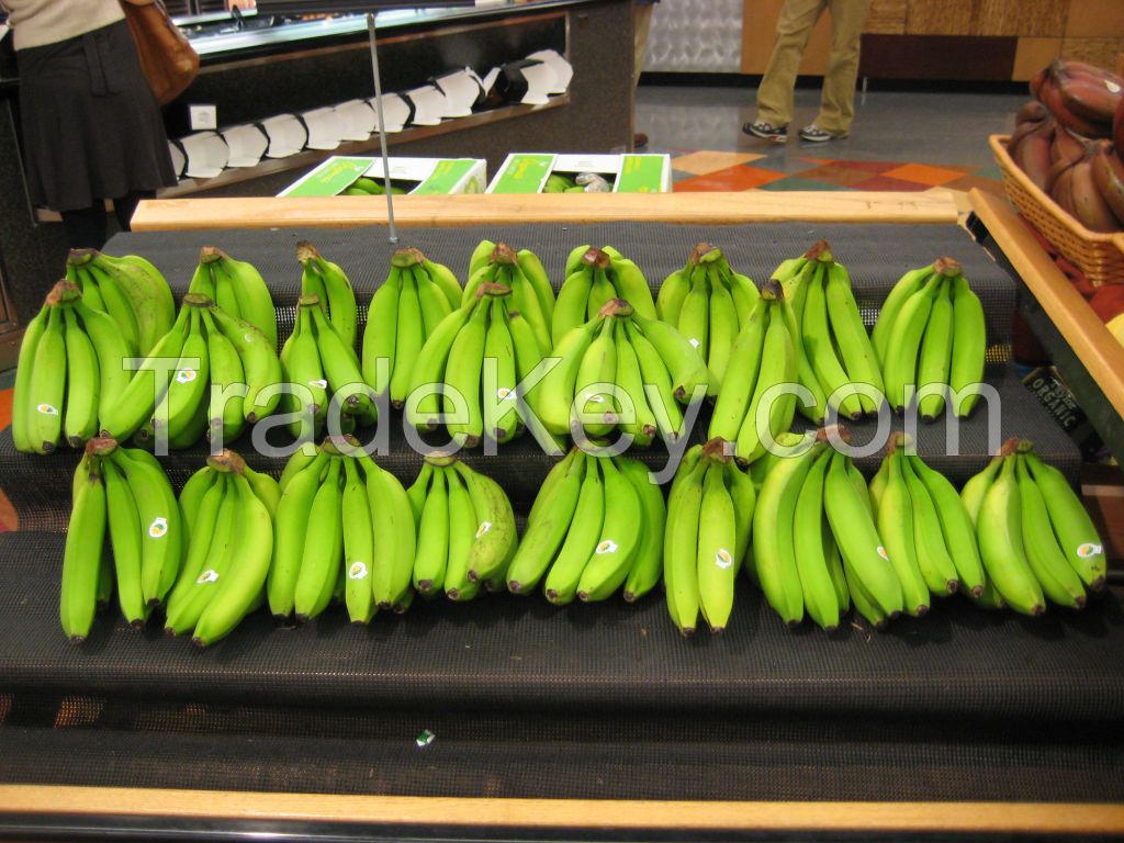 We sell Bananas,Avocados, Coconuts, Lemons, Water Melons Aplles etc...