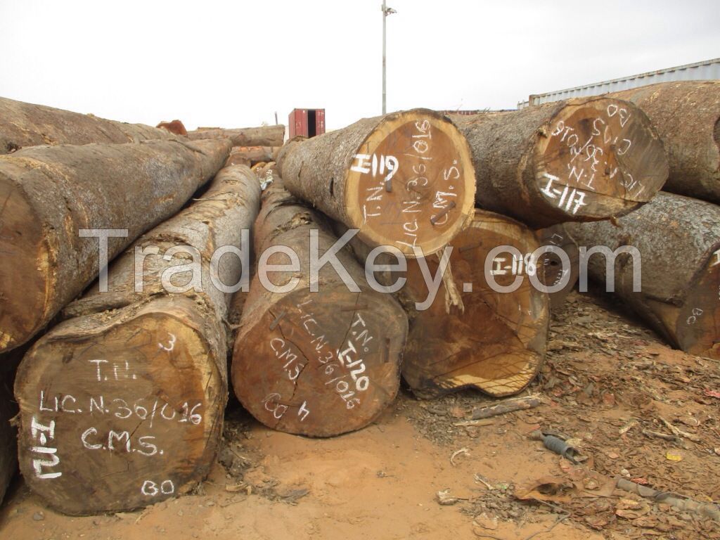 Tali Timber Wood Logs for Sale