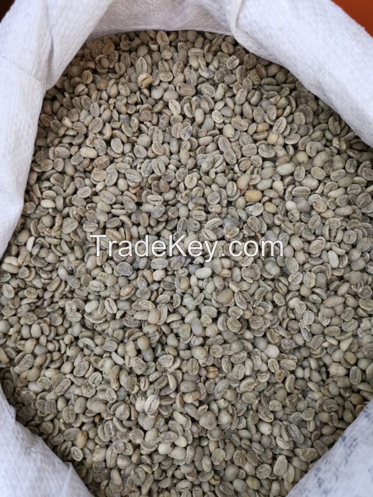 Green Coffee Beans Arabica Plantation AA