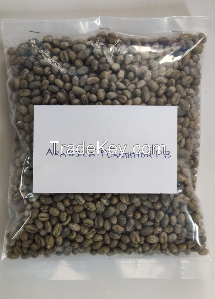 Green Coffee Beans Arabica Plantation PB