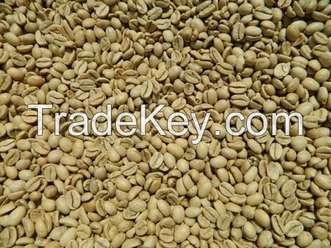 Monsooned Malabar Grade AA Arabica Indan Speciality Green Coffee Beans