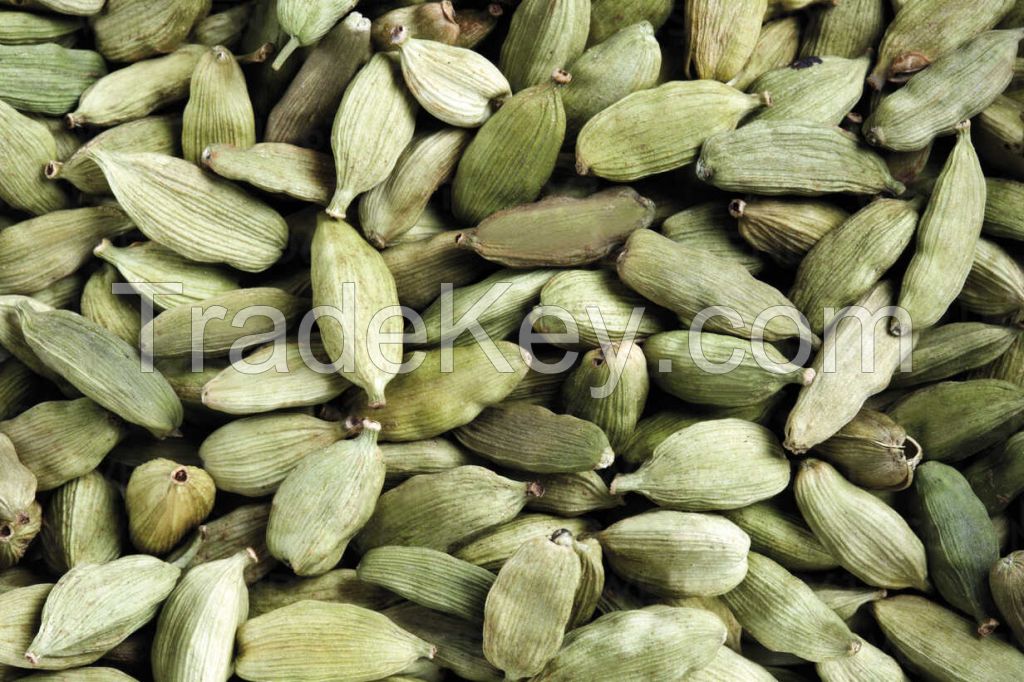 Green Cardamom 5mm/6mm/7mm/8mm Top Quality from India