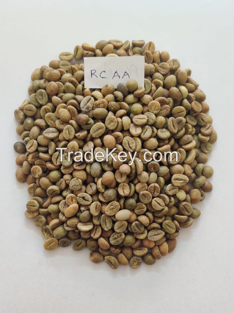 Robusta Parchment and Robusta Cherry Green Coffee Beans