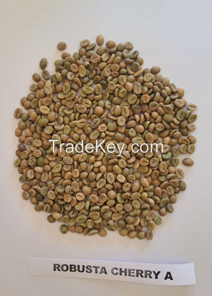 Robusta Cherry A (Screen 17) green coffee beans