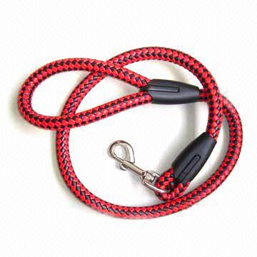 dog leash