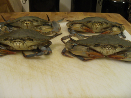 Frozen Soft shell crab