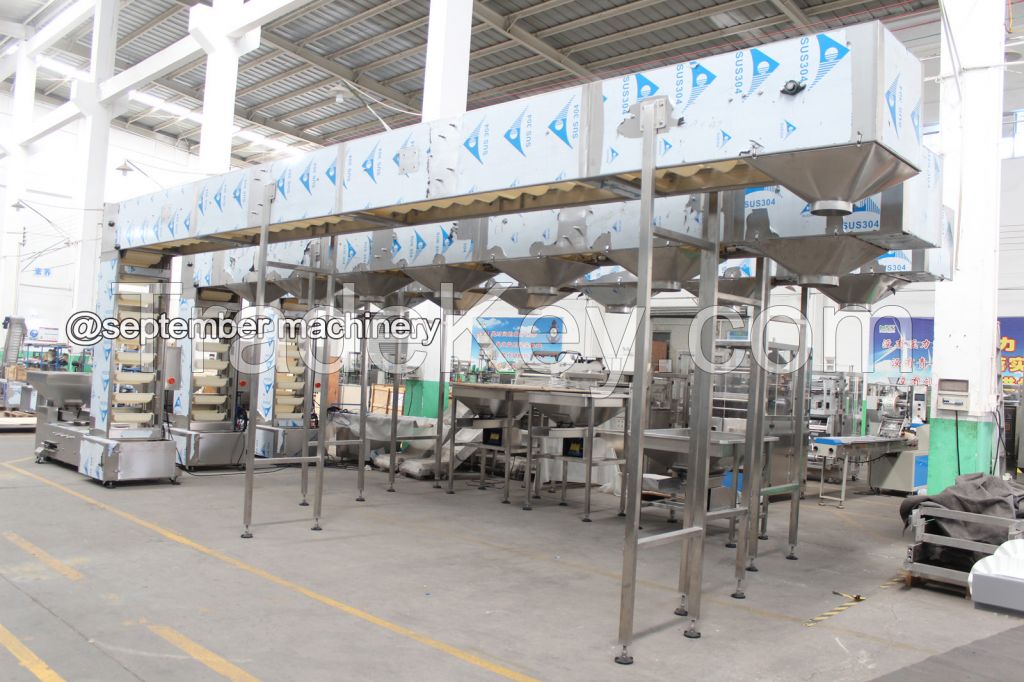 Vertical Conveying Solutions bucket conveyor