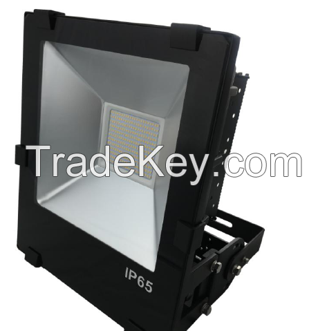 Driverless 250w led floodlight