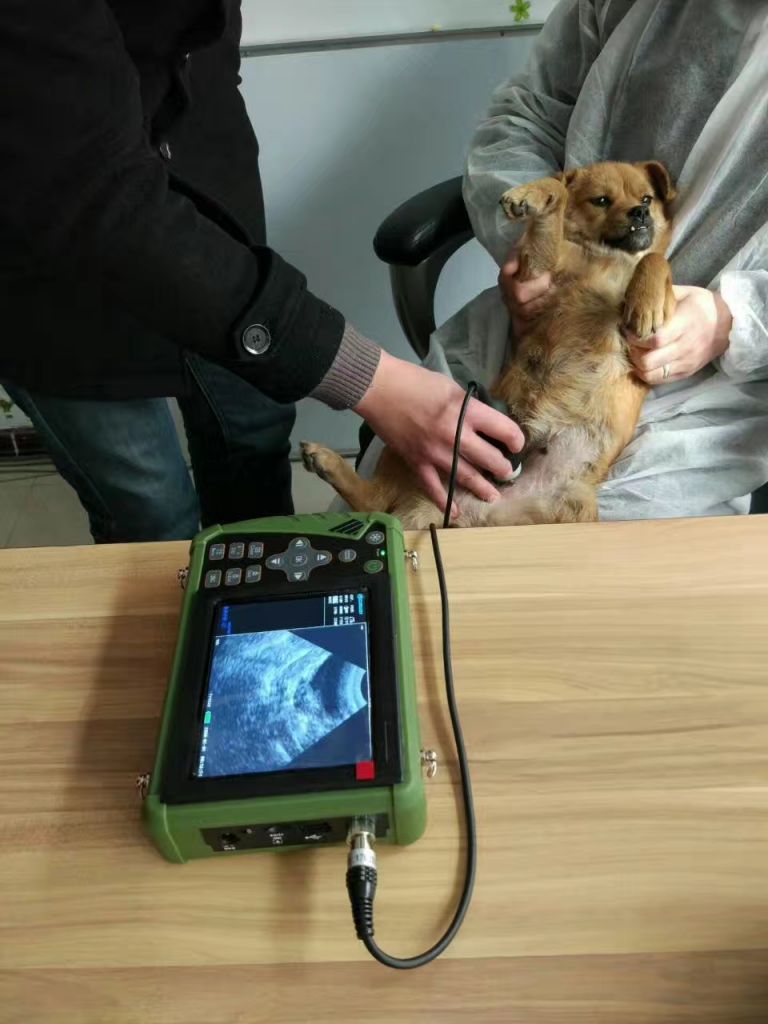 Laptop Veterinary Ultrasound Diagnostic System  VET 5