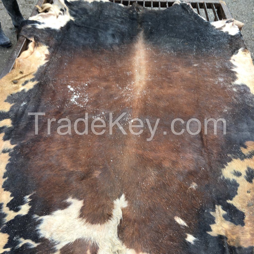 wet salted hides, cows, bulls, pigs , heads and wet blue hides