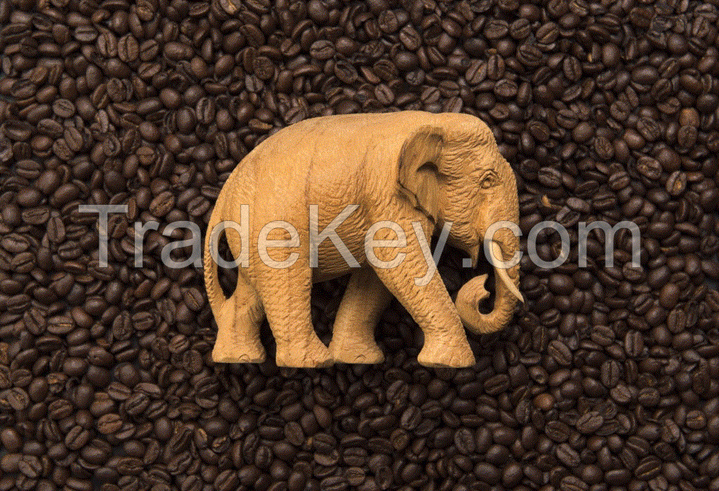 Sell ELEPHANT ROASTED COFFEE BEANS - Viet Deli Coffee Co., Ltd