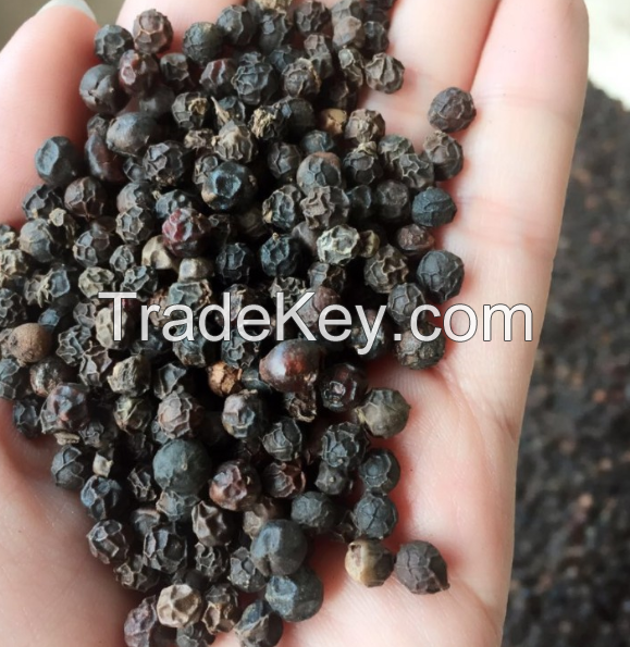 Very Good Black Black Pepper Price for With Black Pepper 500 GL CLEAN