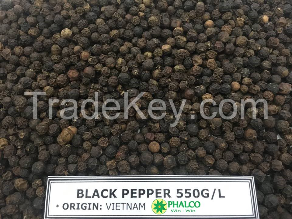 Buy Black pepper Vietnam Origin 500 GL Whatsapp 00841258224768