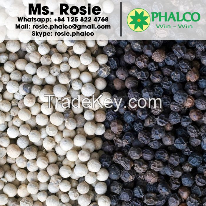 Buy Black pepper Vietnam Origin 