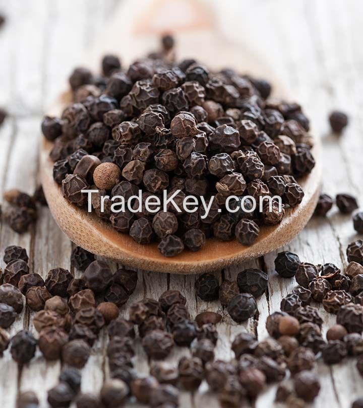 Cheapest Black pepper Vietnam Origin 550 GL Whatsapp 00841258224768
