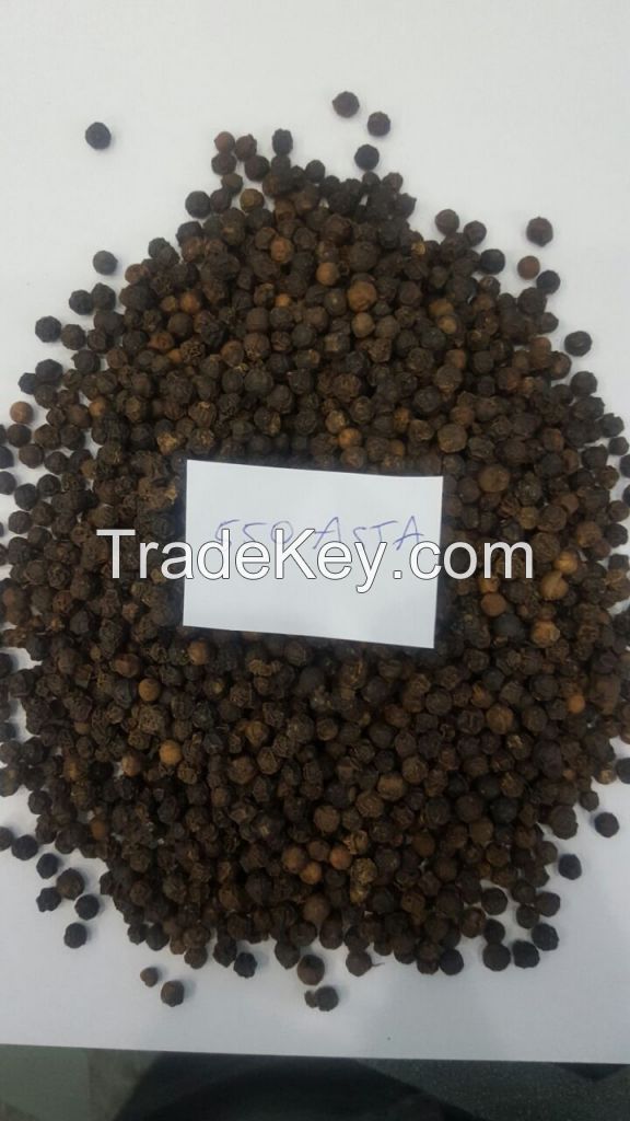 VIETNAM BLACK PEPPER ASTA QUALITY 550