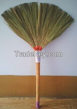 BROOM GRASS