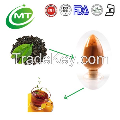 ISO factory good water solubility instant black tea extract 