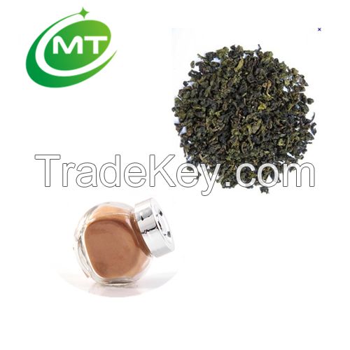 100% pure natural free samples of oolong tea extract