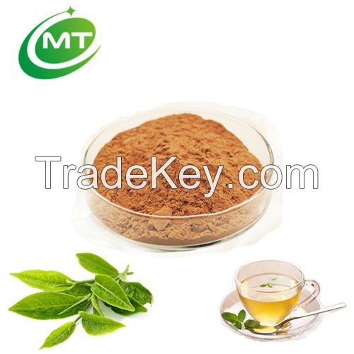 Factory manufacuturer 100% pure natural green tea extract