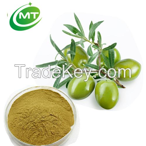  ISO halal kosher factory Oleuropein olive leaf extract