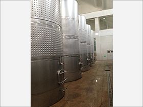 500L wine fermentation tank wine making machine