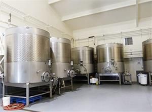 2000L fruit wine fermenter