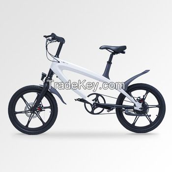 Lehe electric bicycle S1 36v 250w Basic Version