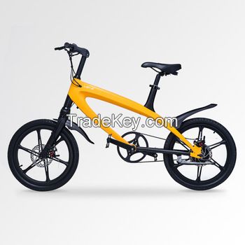 Lehe electric bicycle S1 36v 250w Basic Version
