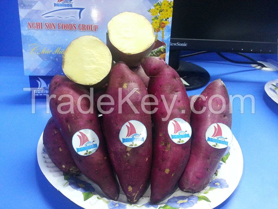 VIETNAMESE SWEET POTATO (Ms: Ruby +84 342828779)