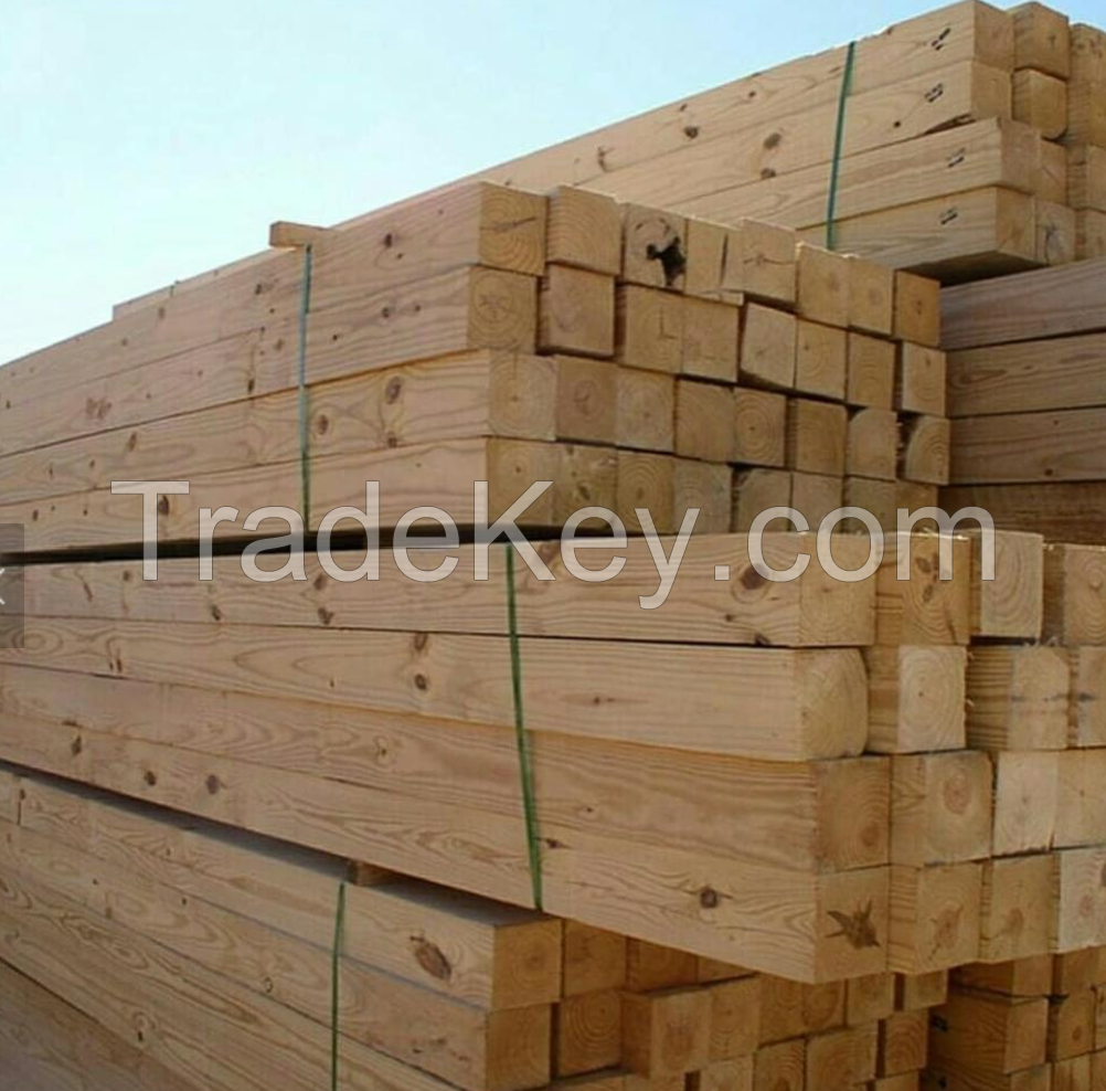 Quality Birch Oak Pine Spruce wood timber lumber