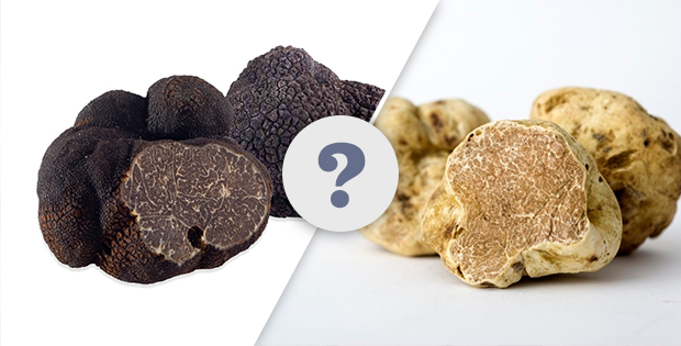 Fresh White Truffles, Black truffles