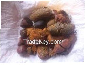 Cow ox Gallstones for sale at good prices