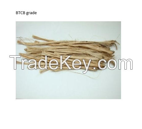 Jute Fiber