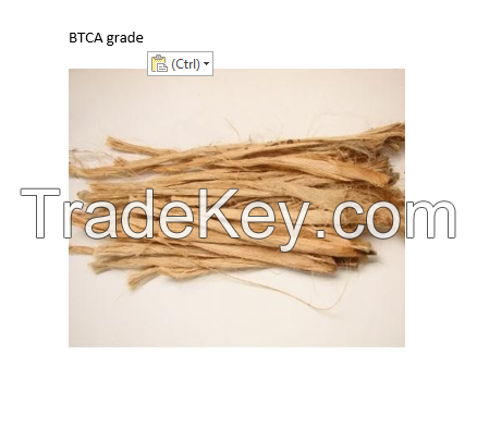 Jute Fiber