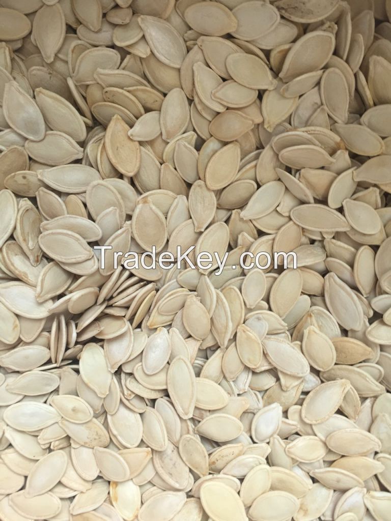 Pumpkin seeds