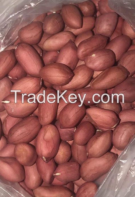 Top Grade Peanuts / Blanched / With Skin / in Shell / 100% Natural