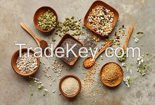 All Types Of Seeds In Stock